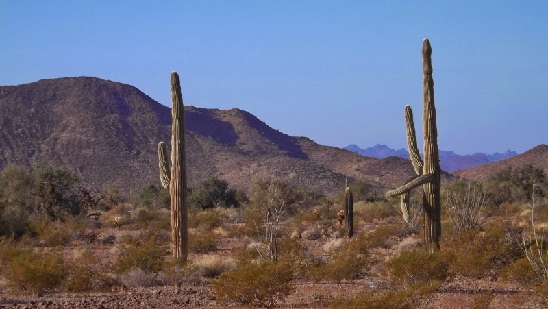 Speed dating events events in Phoenix AZ